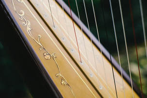 Salvi livia harp cheap