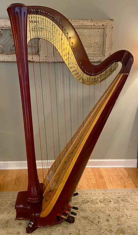 SOLD Venus Premier Hillnote Music