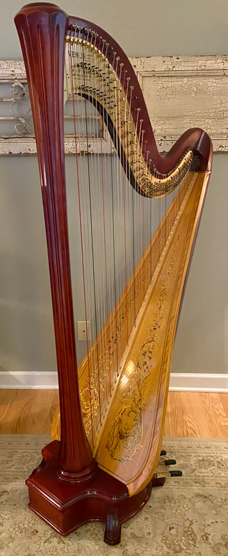 Venus harp outlet